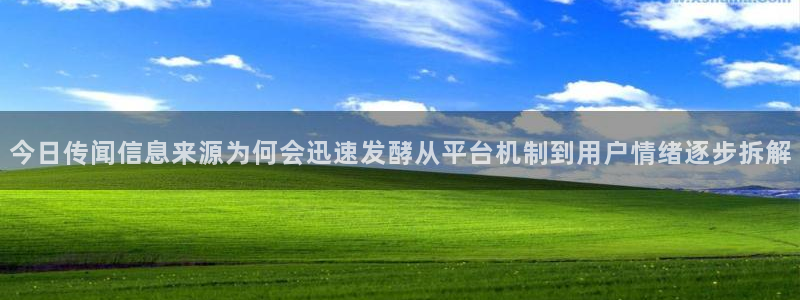 网络事件动态
