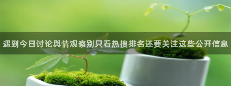 今日网络热点