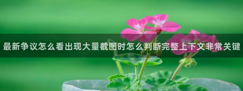 最新话题爆料